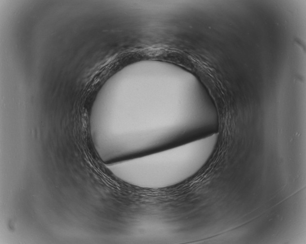 X0000101691349200807101158