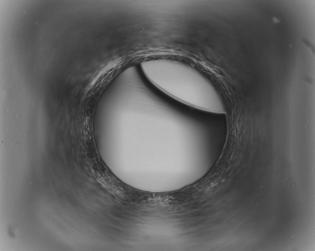 X0000101691351200807101158