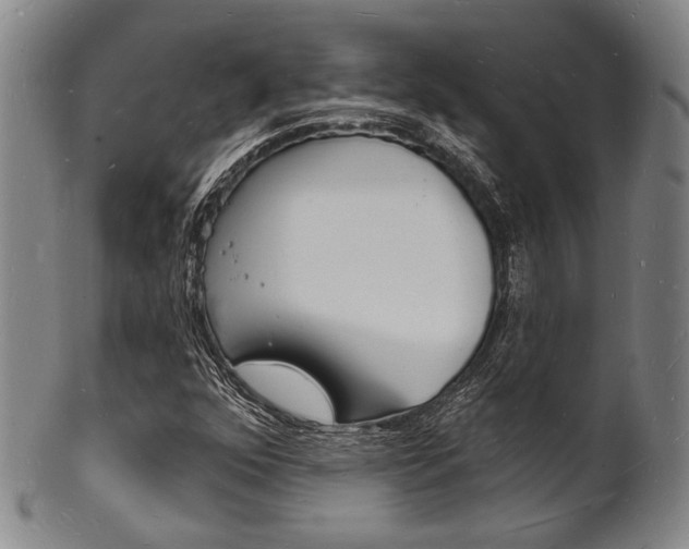 X0000101691352200807101158