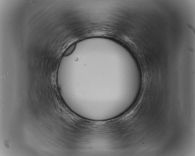 X0000101691353200807101158