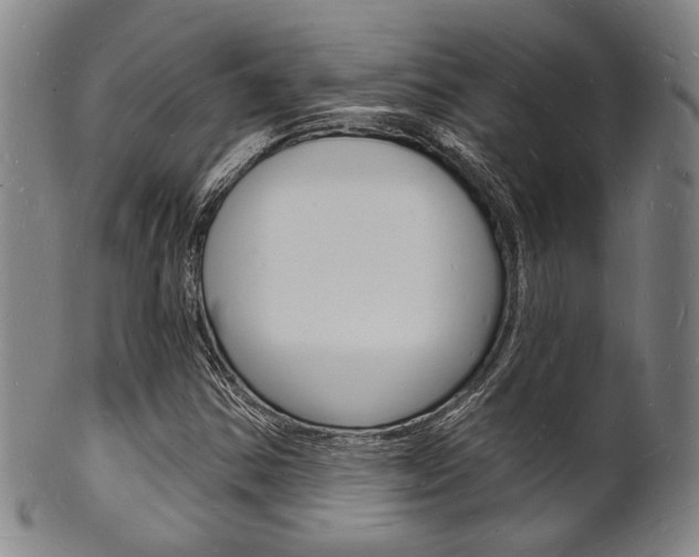 X0000101691354200807101158