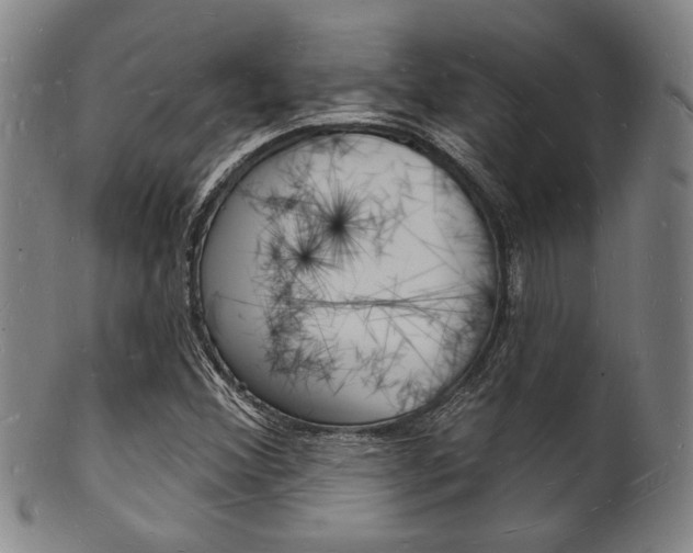 X0000101691356200807101158
