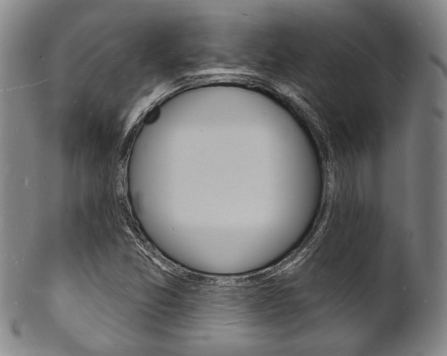X0000101691357200807101158