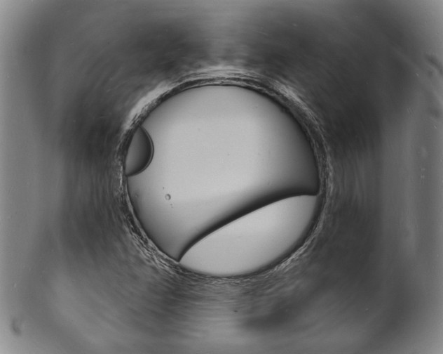 X0000101691358200807101158