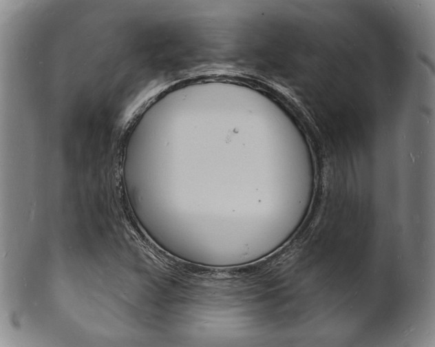 X0000101691359200807101158