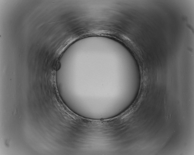 X0000101691361200807101158