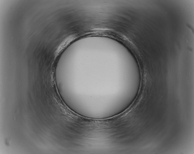 X0000101691362200807101158