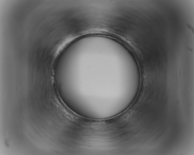 X0000101691363200807101158