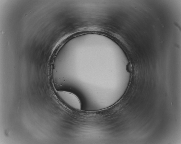 X0000101691364200807101158