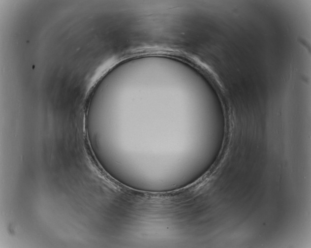X0000101691365200807101158