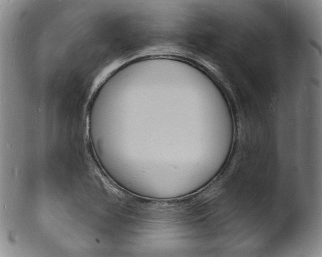 X0000101691366200807101158