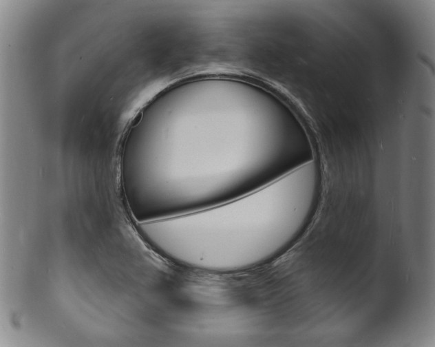 X0000101691367200807101158