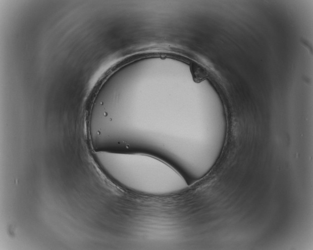 X0000101691368200807101158