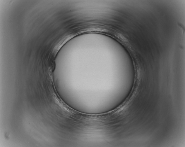 X0000101691369200807101158