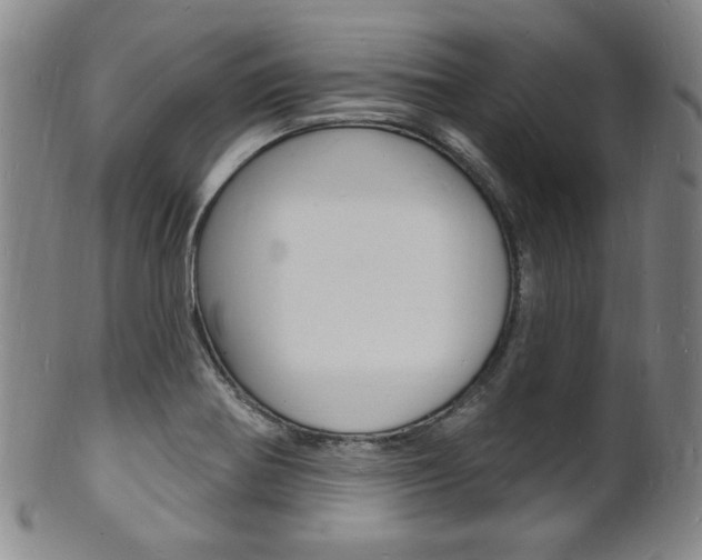 X0000101691370200807101158