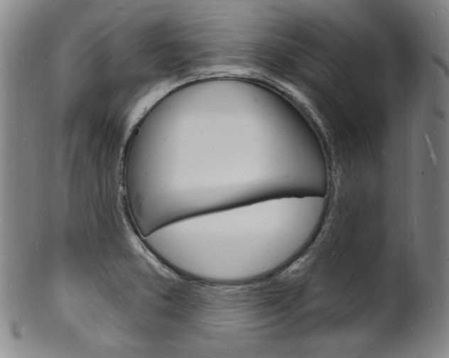 X0000101691373200807101158