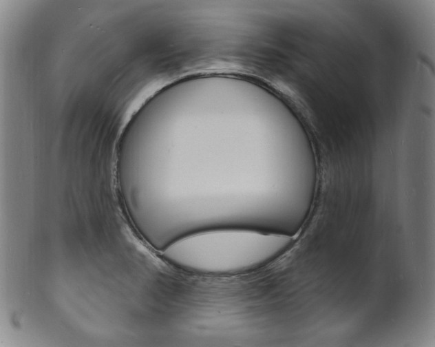 X0000101691374200807101158