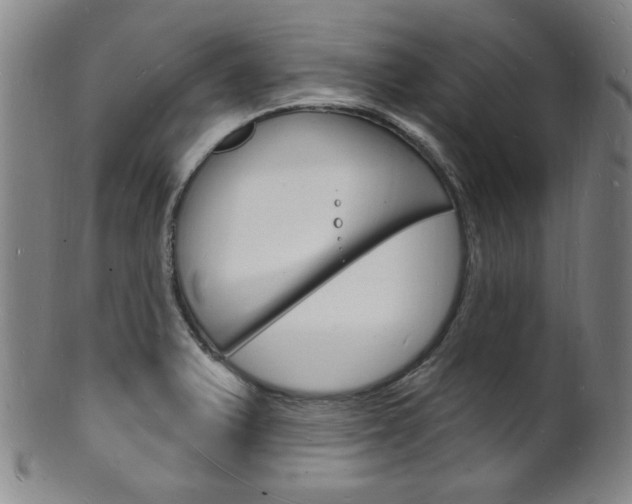 X0000101691375200807101158