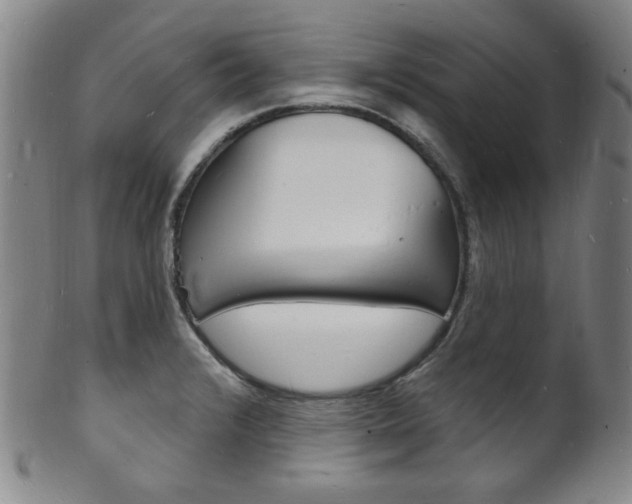 X0000101691376200807101158