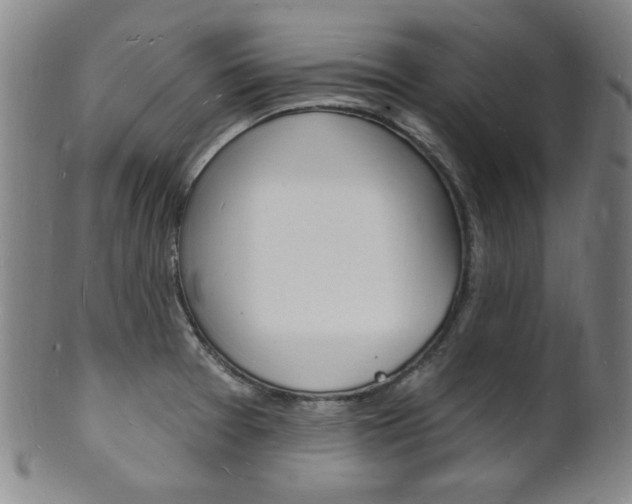 X0000101691377200807101158
