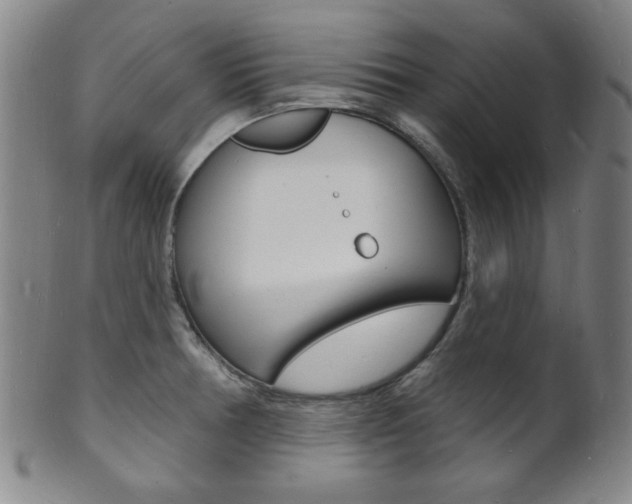 X0000101691378200807101158