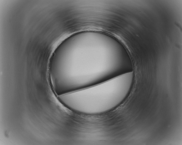X0000101691379200807101158