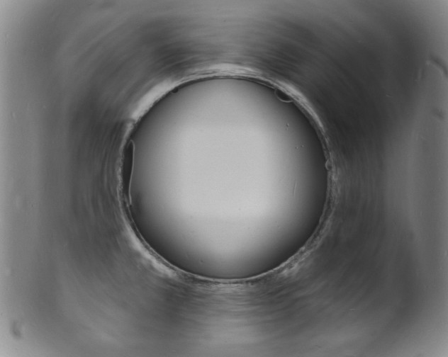 X0000101691381200807101157