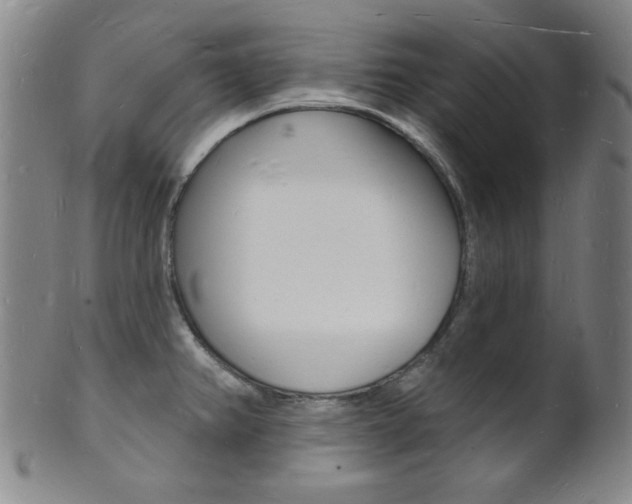 X0000101691382200807101157
