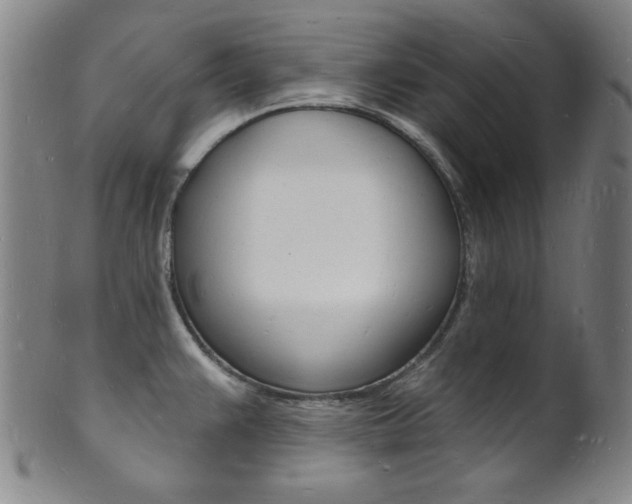 X0000101691383200807101157