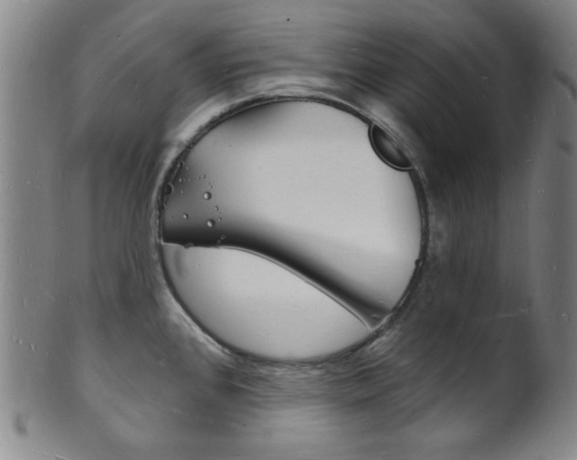 X0000101691384200807101157