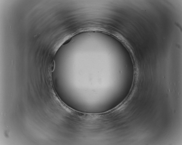 X0000101691385200807101157