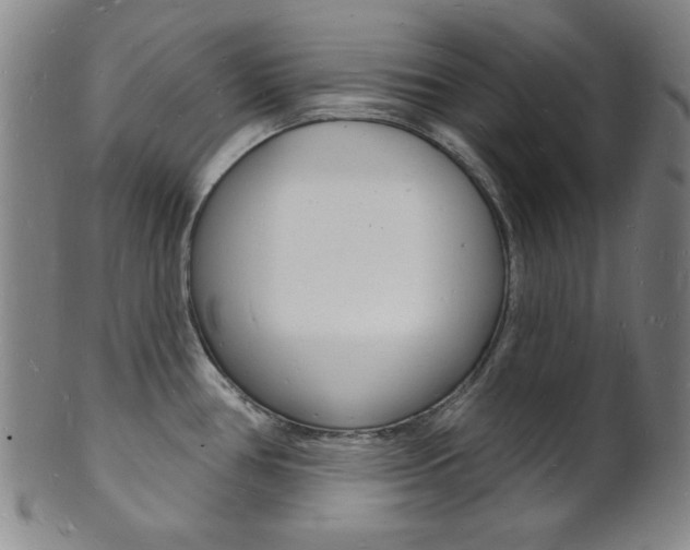 X0000101691386200807101157