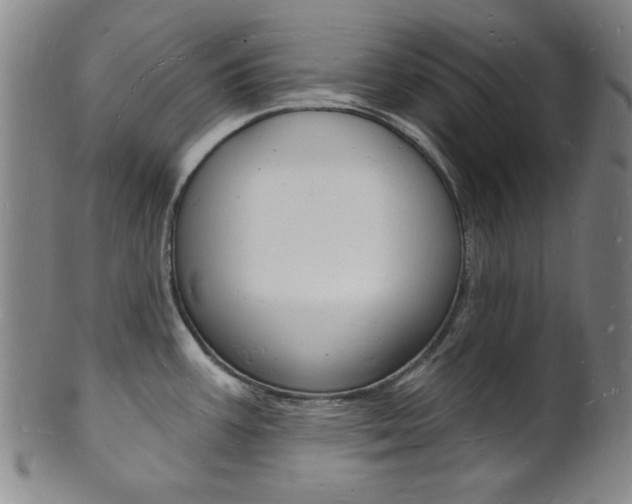 X0000101691387200807101157