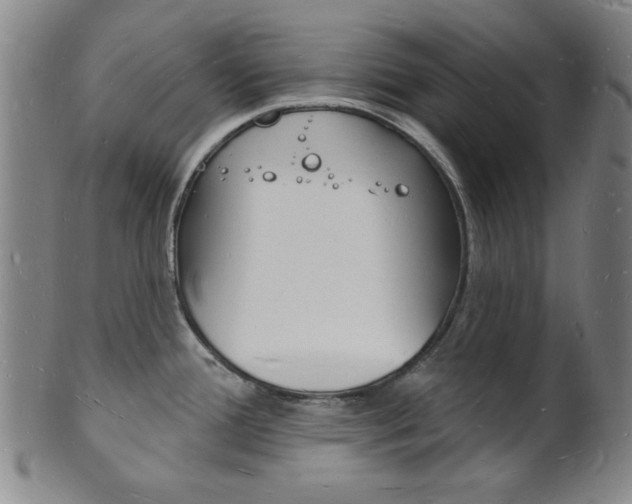 X0000101691388200807101157