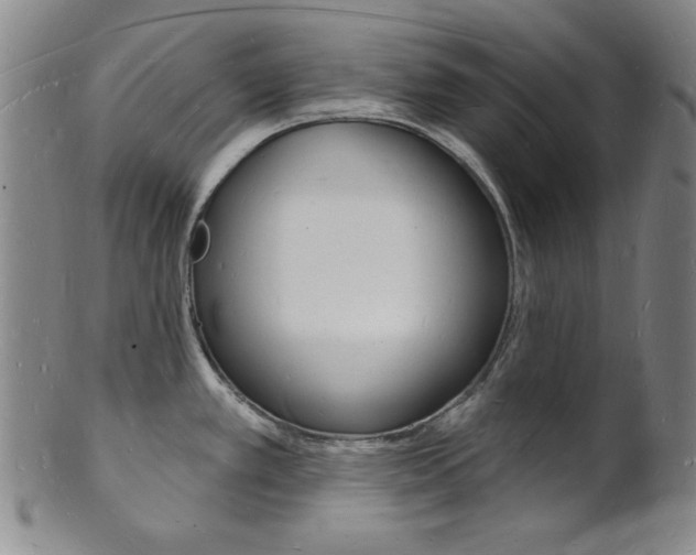 X0000101691389200807101157