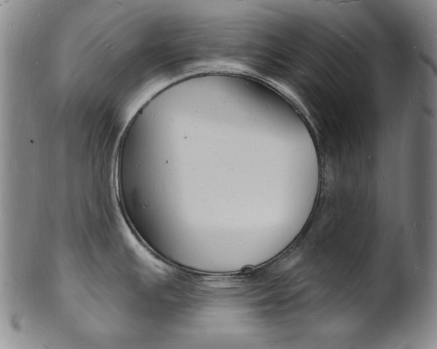 X0000101691391200807101157
