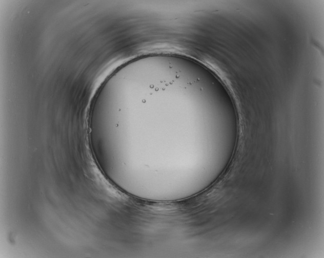 X0000101691392200807101157