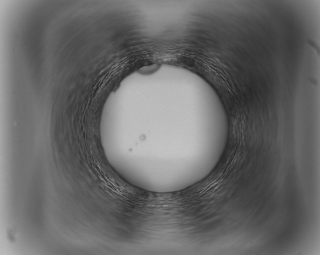 X0000101691393200807101157