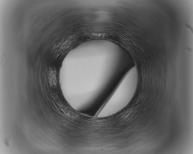 X0000101691394200807101157