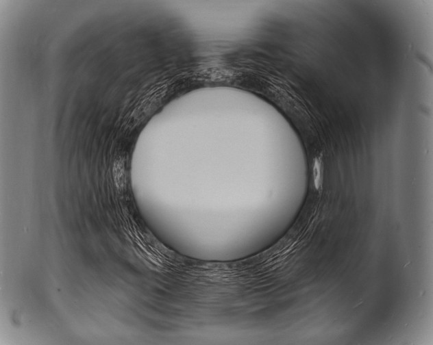 X0000101691395200807101157