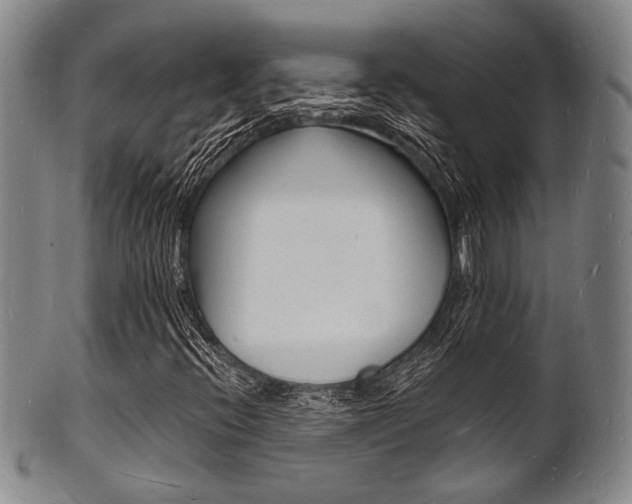 X0000101691396200807101157