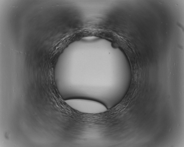 X0000101691397200807101157