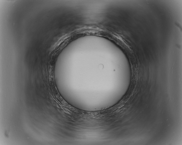 X0000101691399200807101157