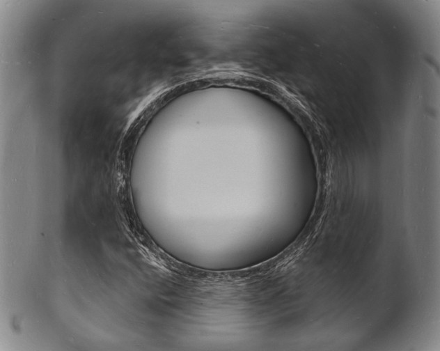 X0000101691400200807101157