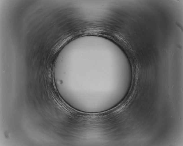 X0000101691401200807101157