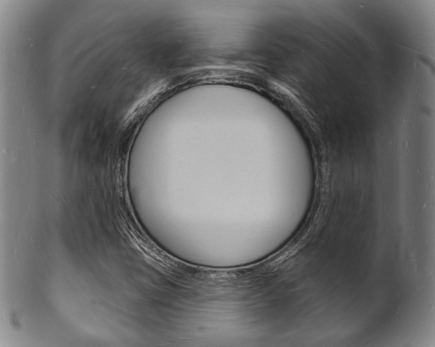X0000101691403200807101157