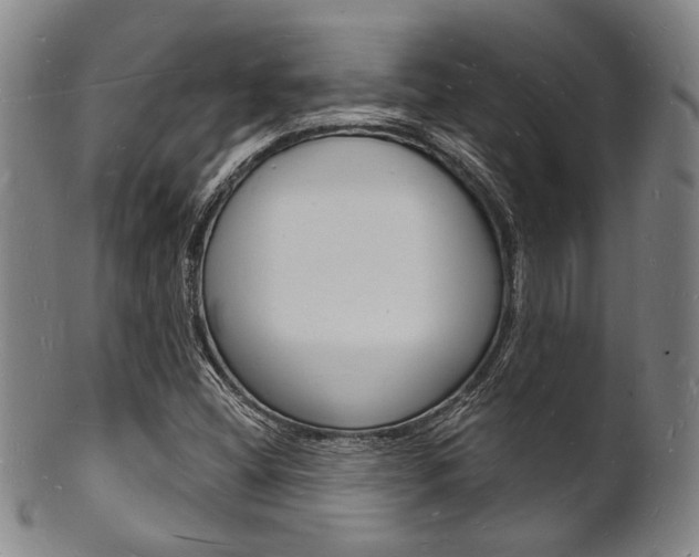 X0000101691404200807101157