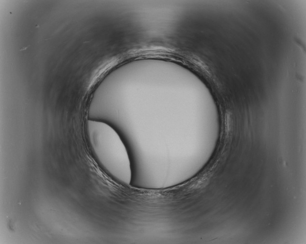 X0000101691405200807101157