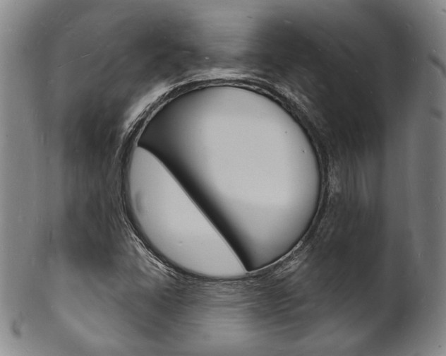 X0000101691406200807101157