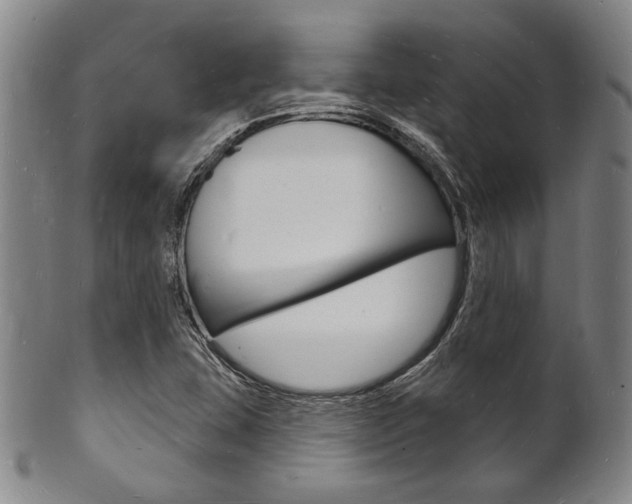X0000101691407200807101157